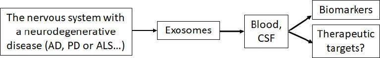Exosomes serve as biomarkers for neurodegenerative diseases.