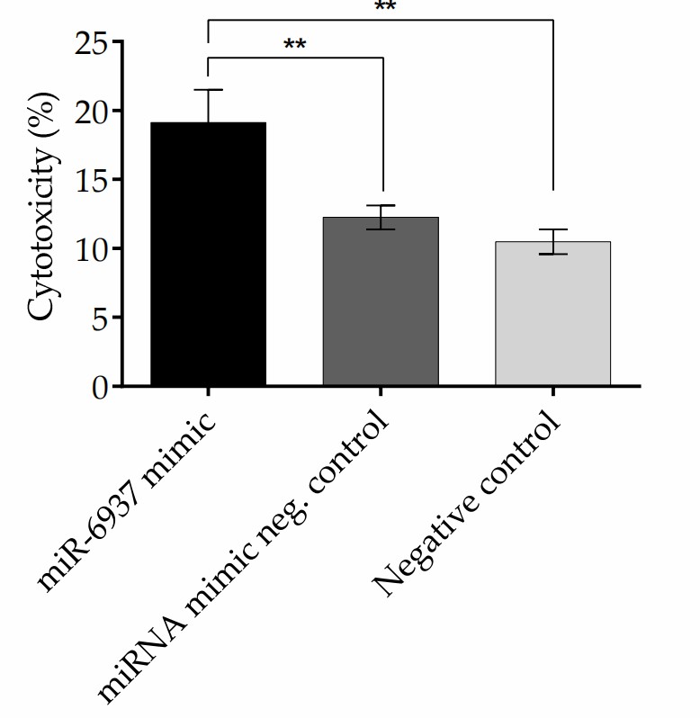 Cytotoxic effects of miR-6937-5p mimics on the MU-PH1 cell line.