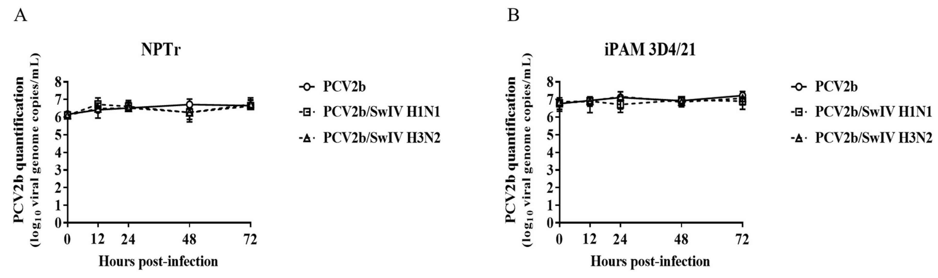 SwIV co-infection effects on PCV2b replication in infected NPTr and immortalized porcine alveolar macrophages 3D4/21 cells.
