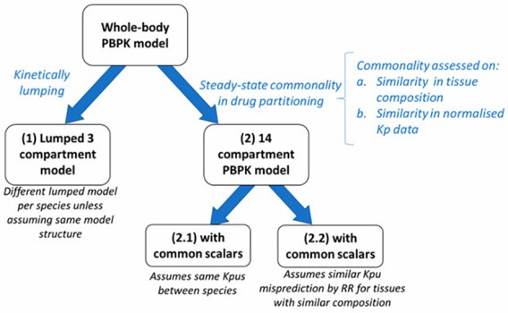 Approaches investigated for simplifying a whole-PBPK model