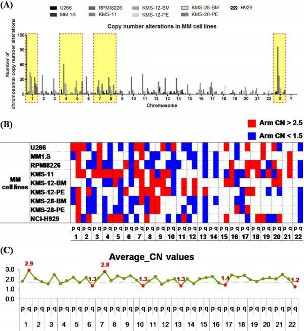 Analysis of the frequency of copy number alterations in MM cell lines. (Lee KJ, et al., 2017)