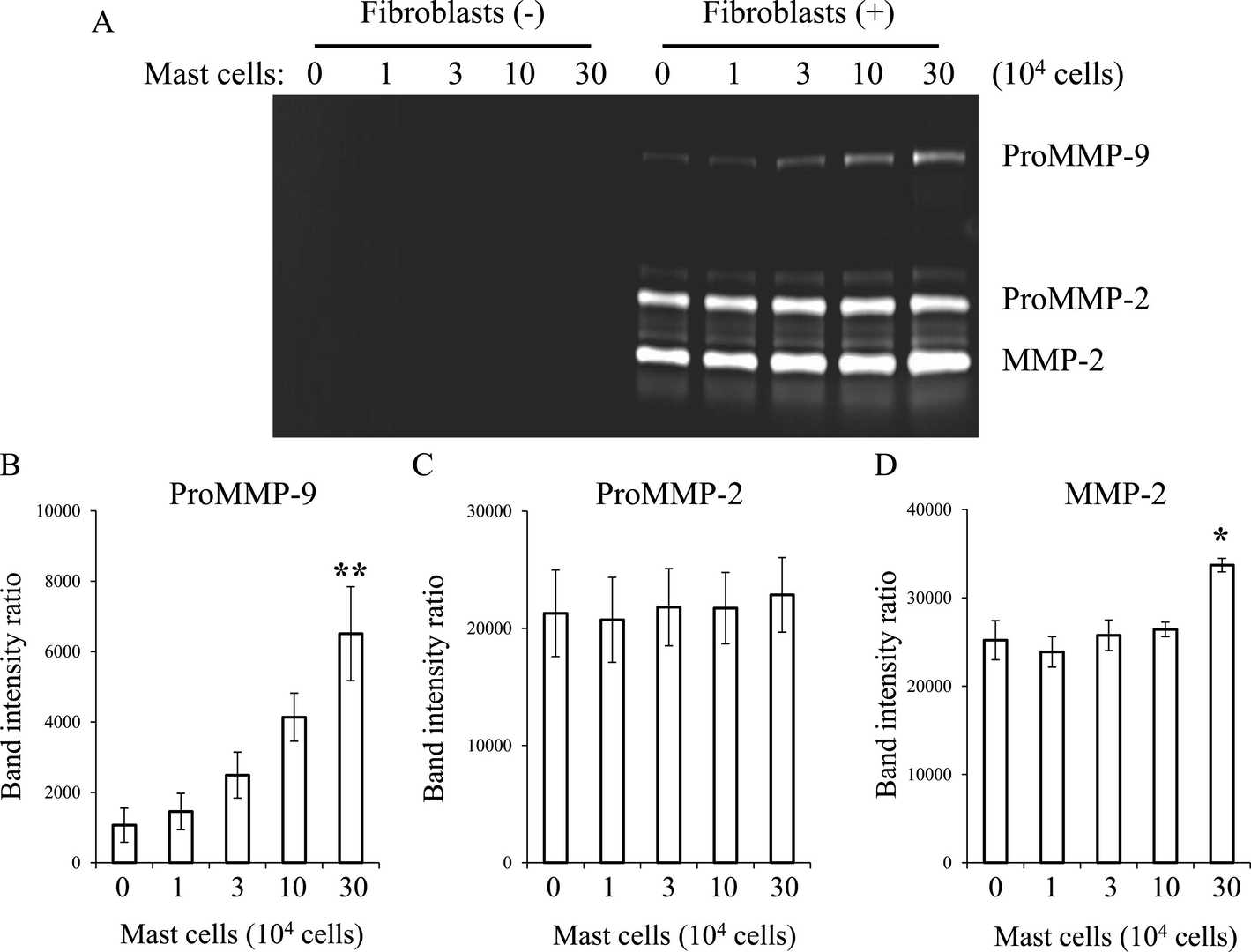 Influence of mast cells on MMP expression in conjunctival fibroblasts.