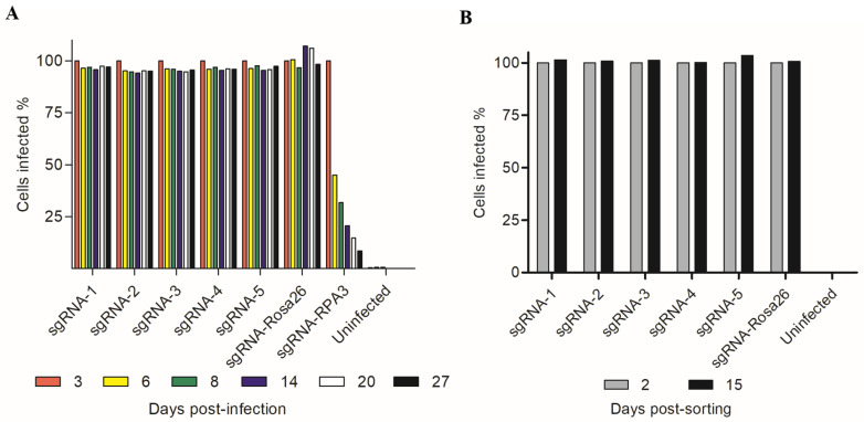 Fig. 2 Monitoring of REHcas9-sgRNA cell proliferation by flow cytometry. (Costa IM, et al., 2023)