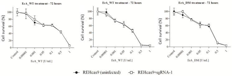 Fig. 3 In vitro cytotoxicity assay of CTSB KO cells in the presence of ASNase. (Costa IM, et al., 2023)