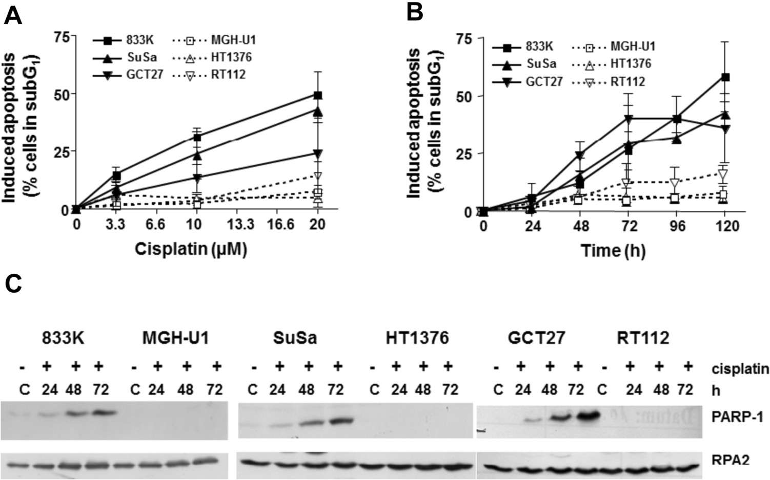 Assessment of apoptosis in testicular (filled symbols) and bladder (open symbols) cancer cells following cisplatin treatment.