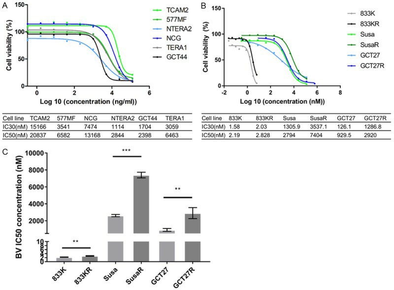Dose-response curves for TGCT cell lines treated with Brentuximab Vedotin.