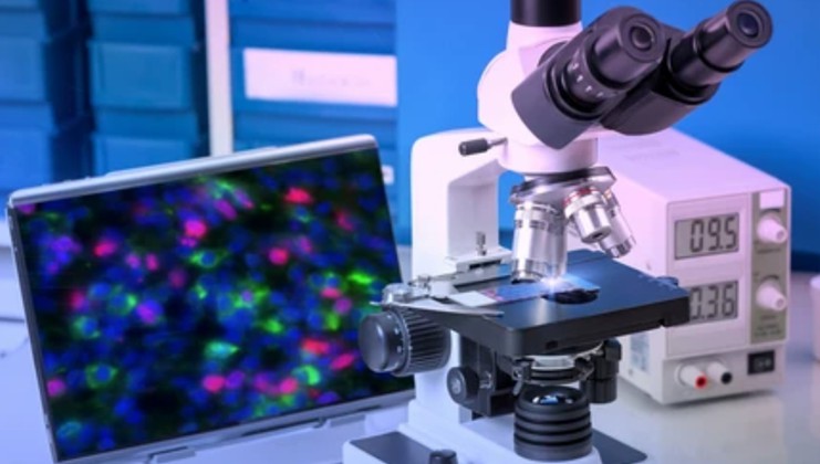 troubleshooting-in-fluorescent-staining