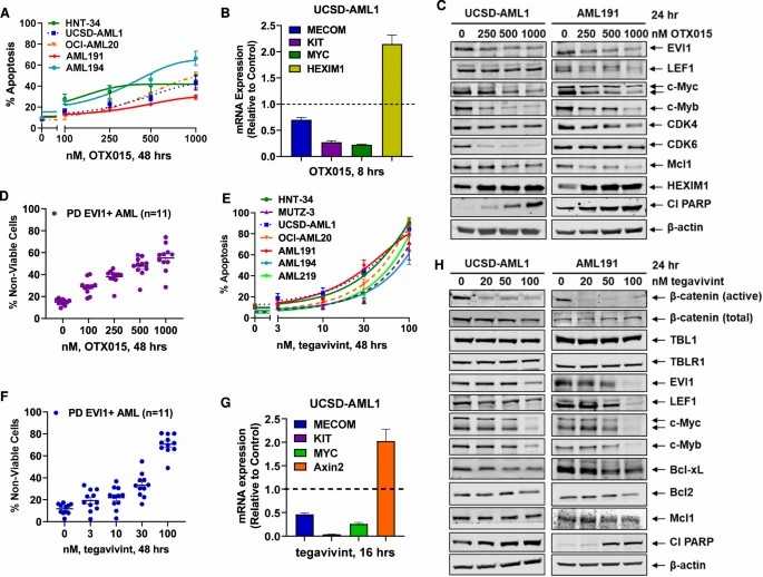 BET inhibitor OTX015 or β-Catenin antagonist TV reduces EVI1 and c-Myc expression and induces dose-dependent lethality in 3q26.2-rearranged EVI1-expressing AML cells.