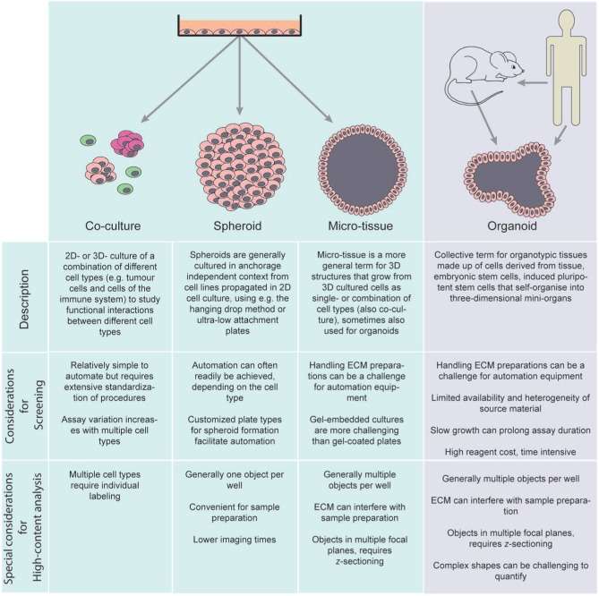 Nomenclature of three-dimensional cell-based assays.