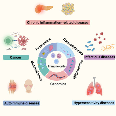 Graphical abstract.