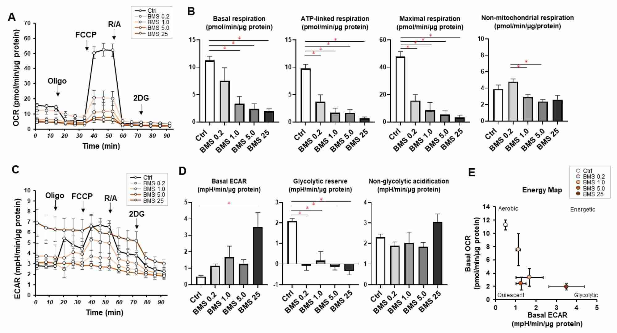 Impact of BMS309403-mediated pharmacological inhibition of FABP4 on cellular metabolic activities.