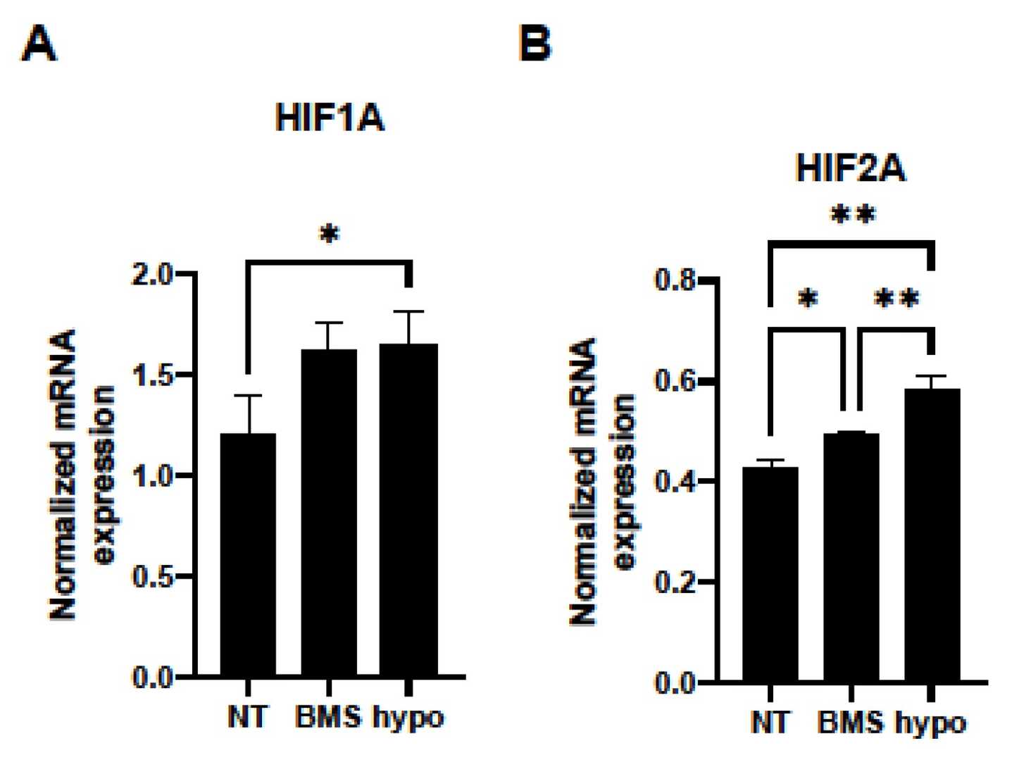 mRNA expression levels of (A) HIF1a and (B) HIF2a.