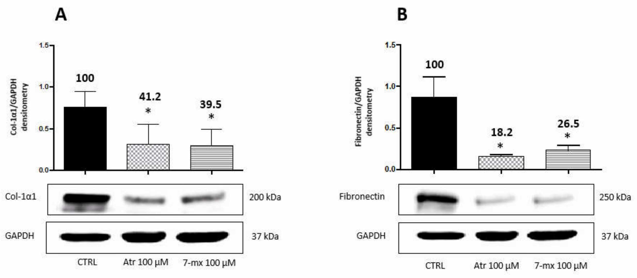 Influence of Atropine and 7MX on the production of collagen and fibronectin in HCOF cells.
