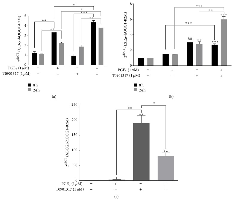 Fig. 1 Effects of PGE2 and T0901317 on CCR7, ABCG1, and LXRα transcription in MM-1 cells. (Tanné B, et al., 2015)