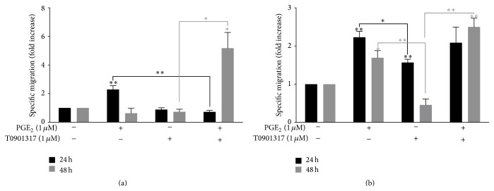 Fig. 2 PGE2 alone and in combination with T0901317 induces functional CCR7-specific migration of MM-1 cells. (Tanné B, et al., 