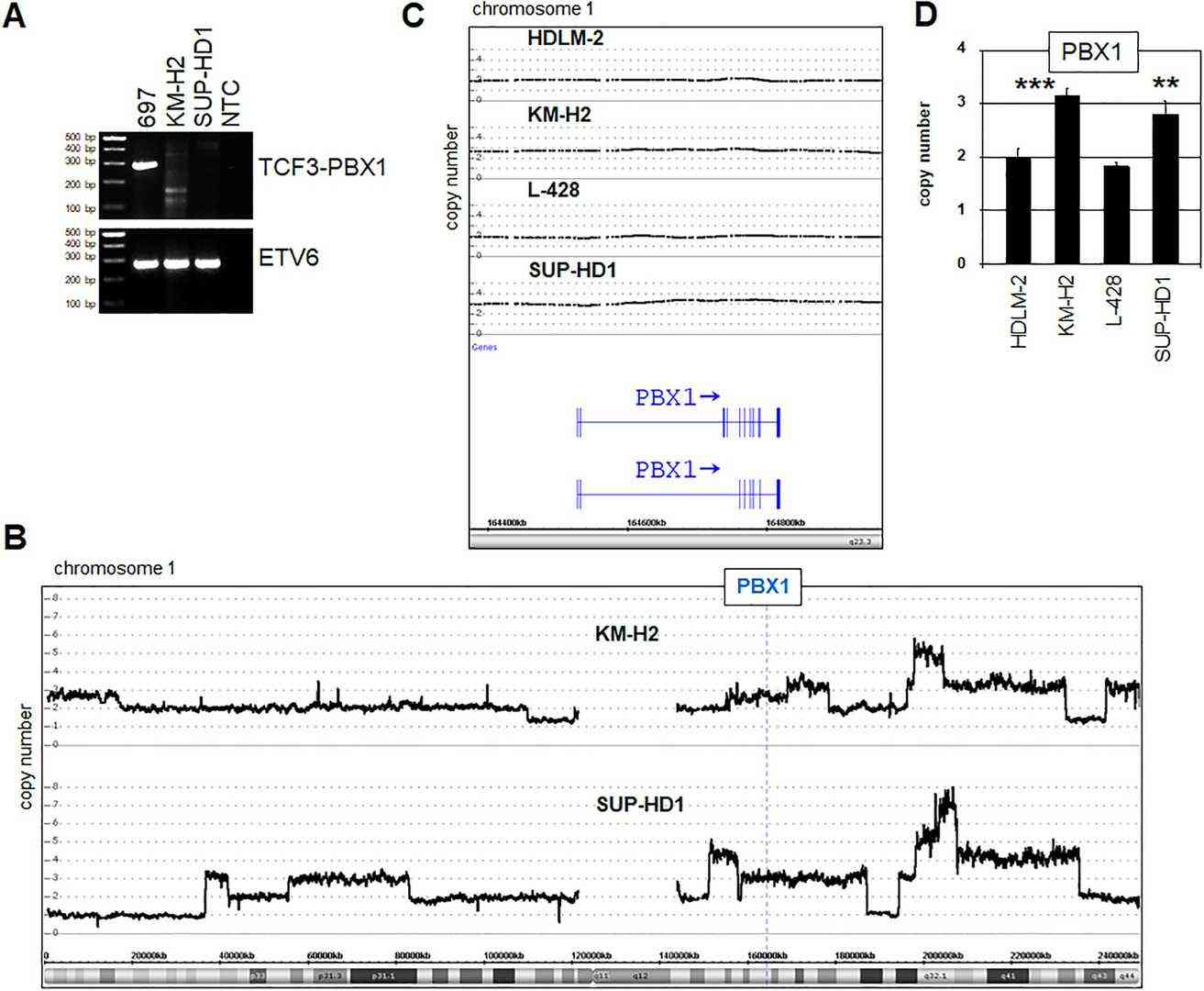 Genomic Examination of the PBX1 Locus.