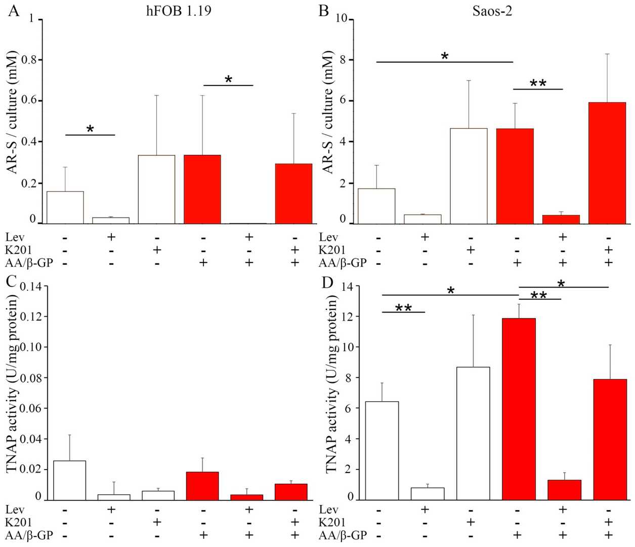 Mineralization levels of hFOB 1.19 cells (A, C) and Saos-2 cells (B, D) under resting conditions (white) and after seven days of stimulation with AA and β-GP (red).