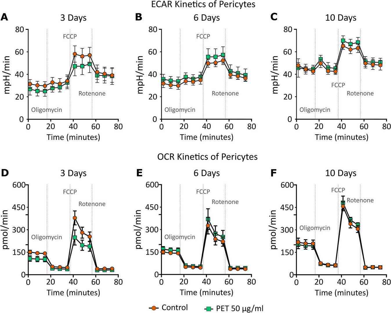 Kinetics of extracellular acidification rate (ECAR, A) and oxygen consumption rate (OCR, B): ECAR and OCR in pericytes treated with control (round orange) or 50 μg/ml PET (square green) for 3, 6, and 10 days.