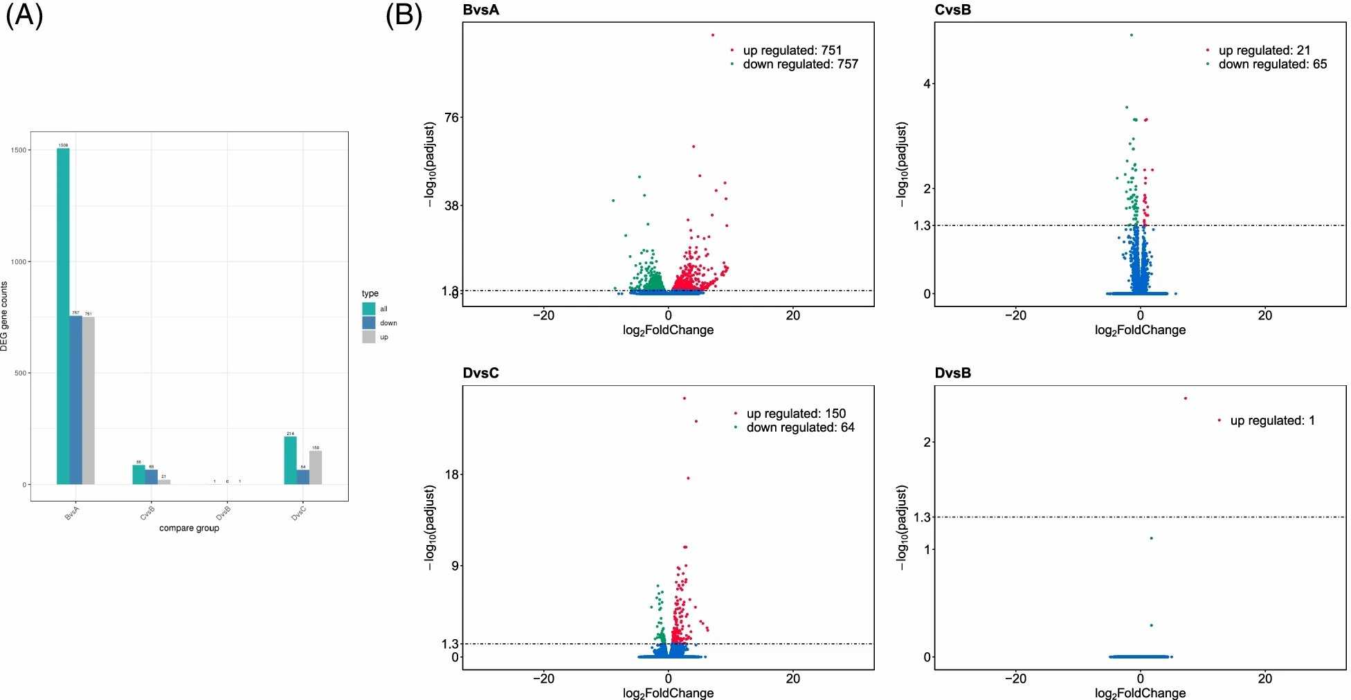 A comprehensive overview of differential gene expression analysis results.