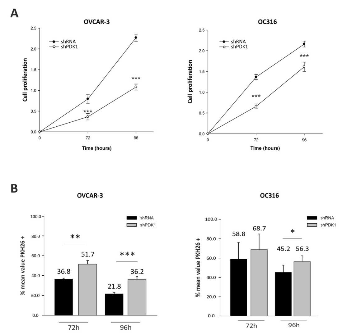 Influence of PDK1 silencing on cell proliferation rates.