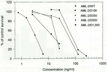 Cytotoxicity of daunorubicin in the parental AML-2 cell line and its daunorubicin-resistant sublines.