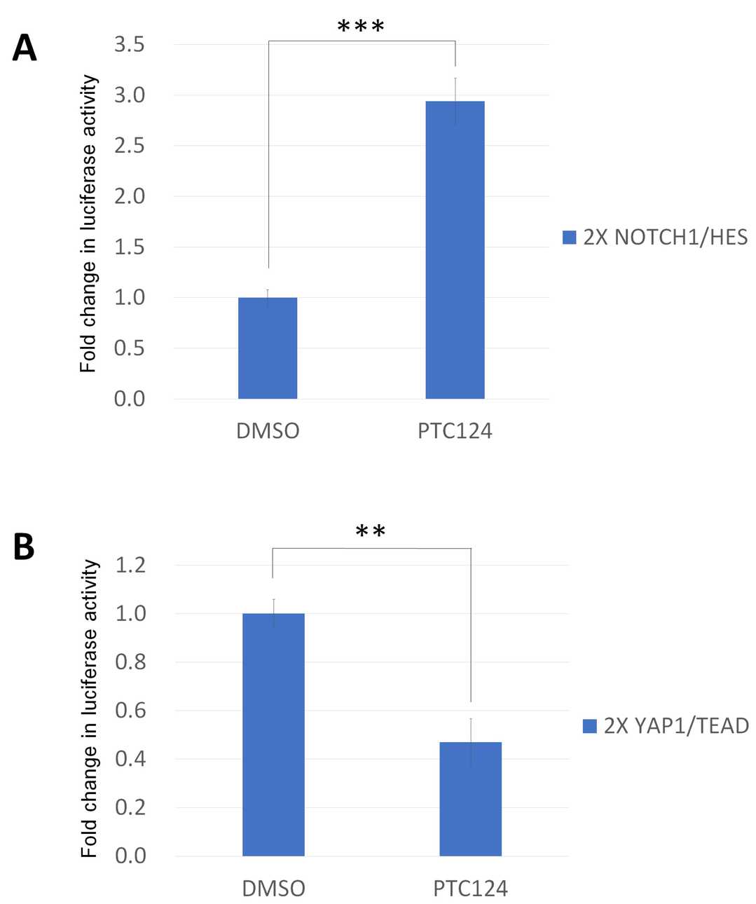 PTC124 can regulate the transactivation function of HES and TEAD.