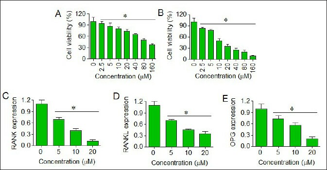 Euxanthone inhibits the proliferation of medulloblastoma by suppressing rank/rankl pathway.