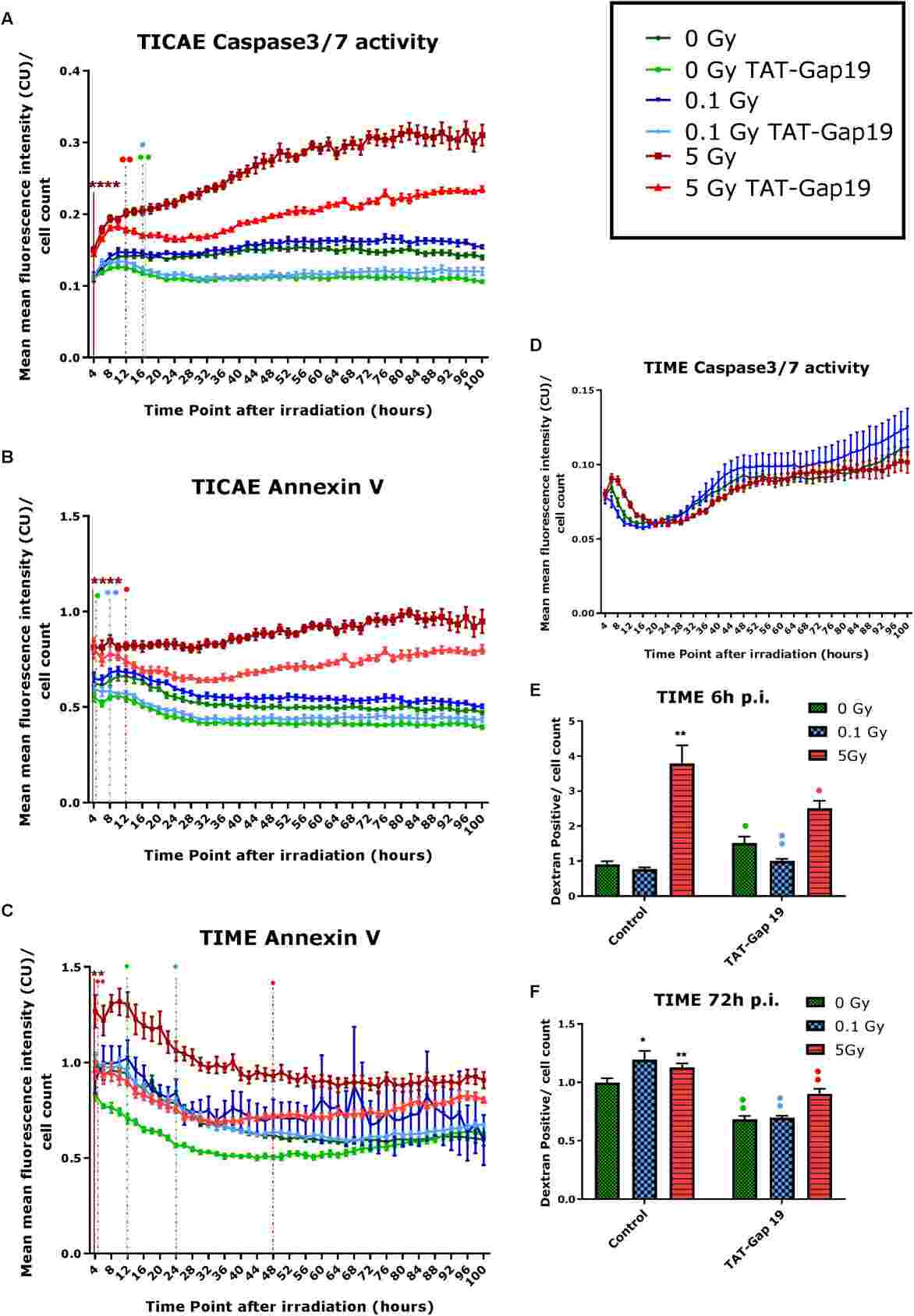 Cell death induced by radiation was analyzed through the measurement of Caspase 3/7 activity, Annexin V, and 10 kDa dextran fluorescein staining, alongside observing the impact of TAT-Gap19.