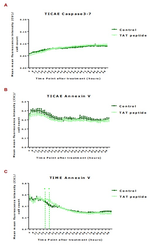 In TICAE cells, Caspase 3/7 activity was assessed, while both TICAE and TIME cells were evaluated for Annexin V from 4 to 100 hours after exposure to 100 μl of TAT peptide.
