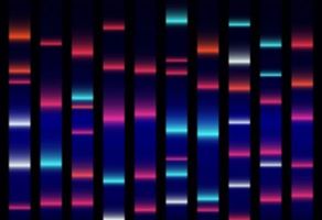 Major Problems Caused by the Use of Uncharacterized Cell Lines