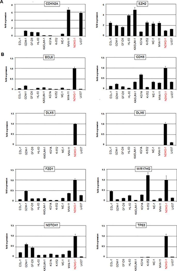 Fig. 2 Expression analyses of candidate genes in NOMO-1 cell lines. (Nagel S, et al., 2019)