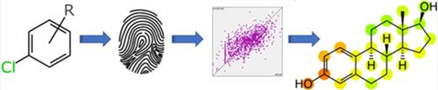 Machine learning models for endocrine disruption prediction.