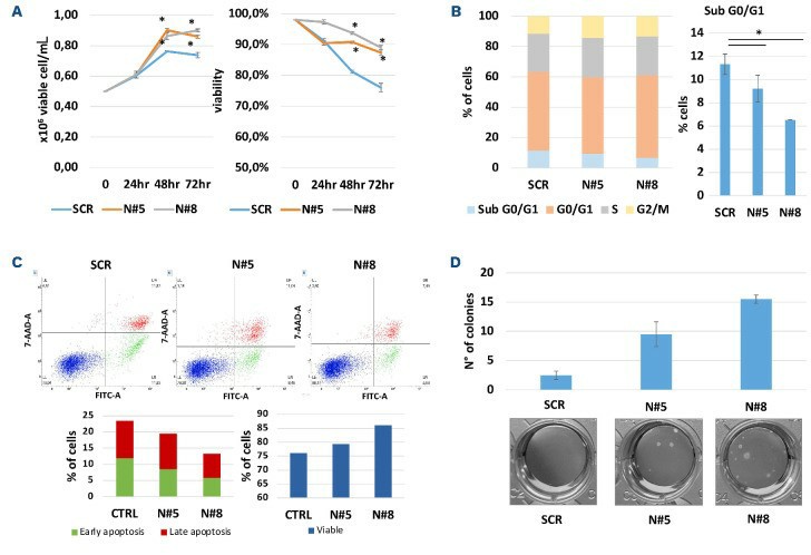 NEAT1 transactivation improves multiple AMO cell survival and oncogenic potential in non-physiological culturing conditions. (Taiana E, et al., 2023)