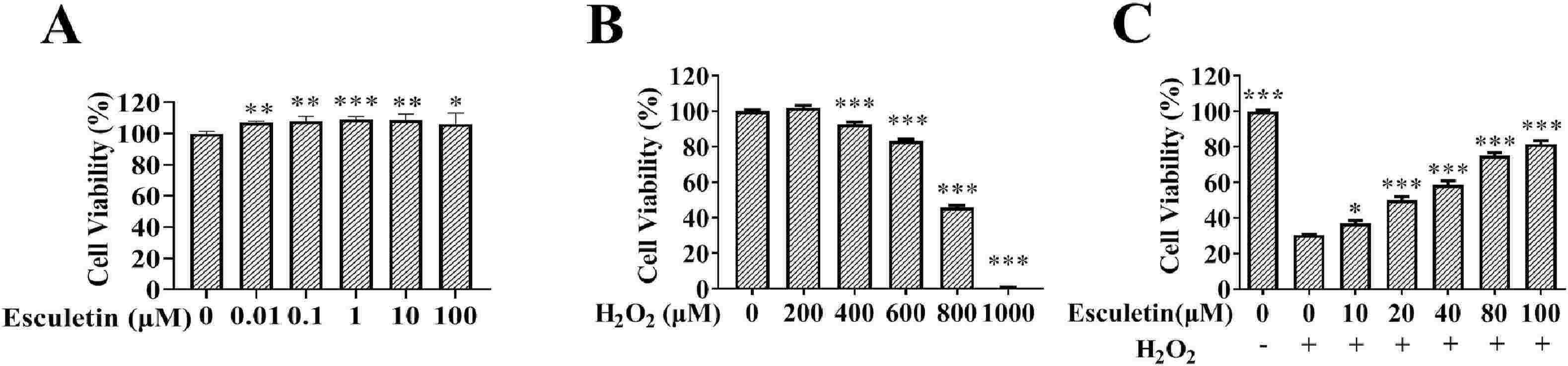 Pretreatment with esculetin increased the cell viabilities in H2O2-treated human corneal epithelial cells.