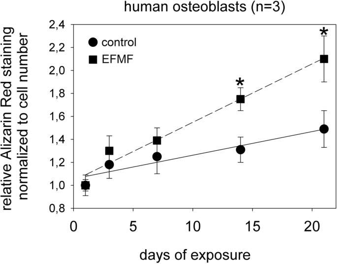 Alizarin red staining results for hOBs post-EFMF exposure.
