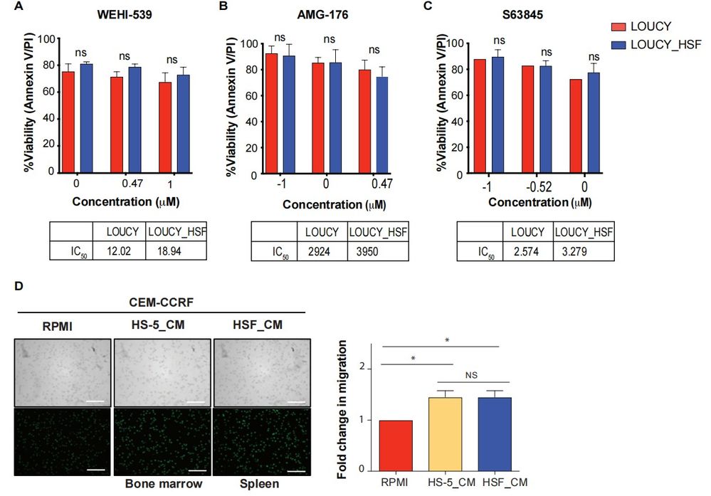 Human splenic fibroblasts do not affect the sensitivity to BH3 mimetics targeting BCL-XL or MCL-1.