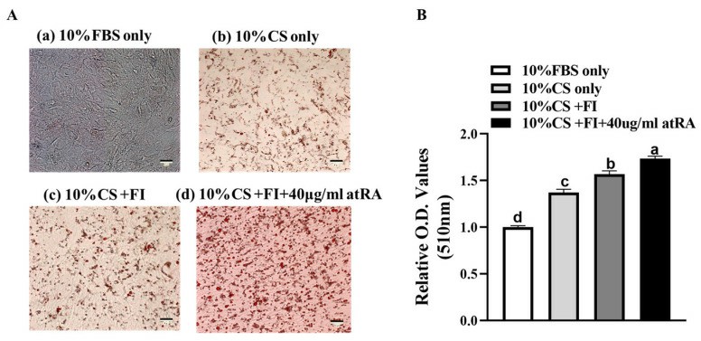 The impact of assorted culture medium constituents on inducing adipogenesis in immortalized duck embryo fibroblasts CCL-141 cells.