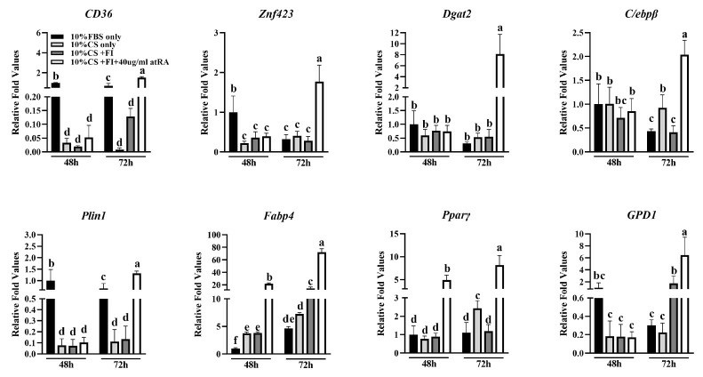 The variation in expression levels of adipogenesis marker genes among groups induced by culture media with diverse components for 48 and 72 hours.
