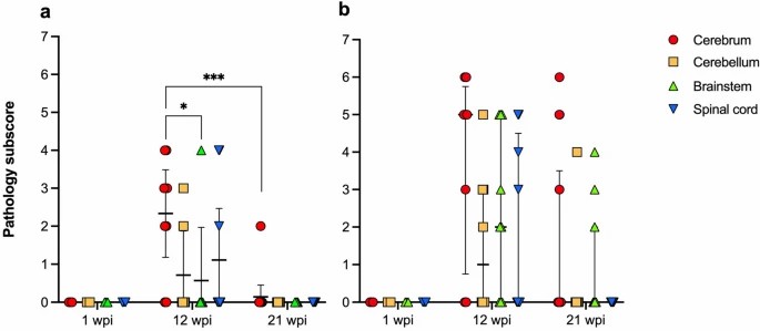 Pathology subscores for inflammation in various regions of the central nervous system of Pekin ducks experimentally inoculated with aquatic bird bornavirus-1 (ABBV-1) intracranially (a) and intramuscularly (b).