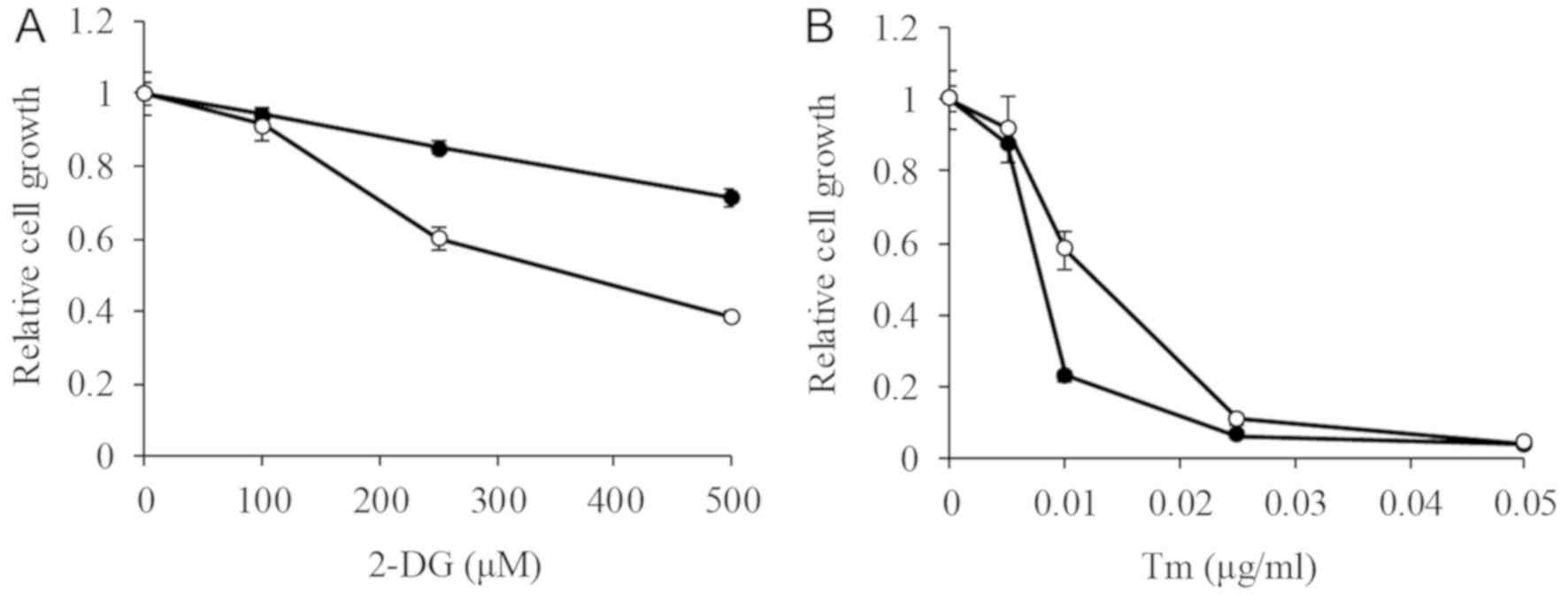 Cytotoxicity of 2-DG and Tm in P388 and P388/IDA Cells.