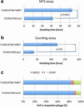 FABP7 modulates cell proliferation and cell cycle in TUHR14TKB cells.