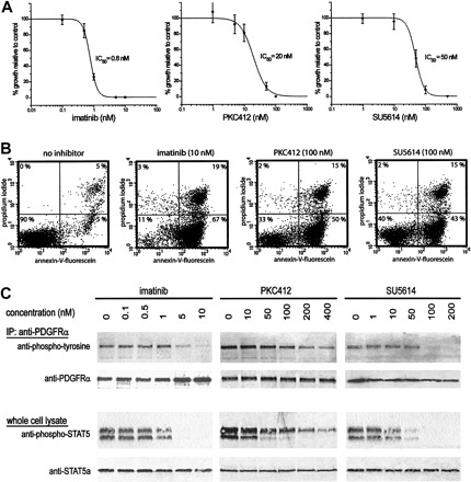 (A) Dose-response curves of EoL-1 cells treated with imatinib, PKC412, or SU5614. (B) Detection of apoptotic EoL-1 cells after 24-hour incubation with imatinib (10 nM), PKC412 (100 nM), or SU5614 (100 nM). (C) Phosphorylation of FIP1L1-PDGFRα was analyzed using an anti-phosphotyrosine antibody on immunoprecipitated FIP1L1-PDGFRα.