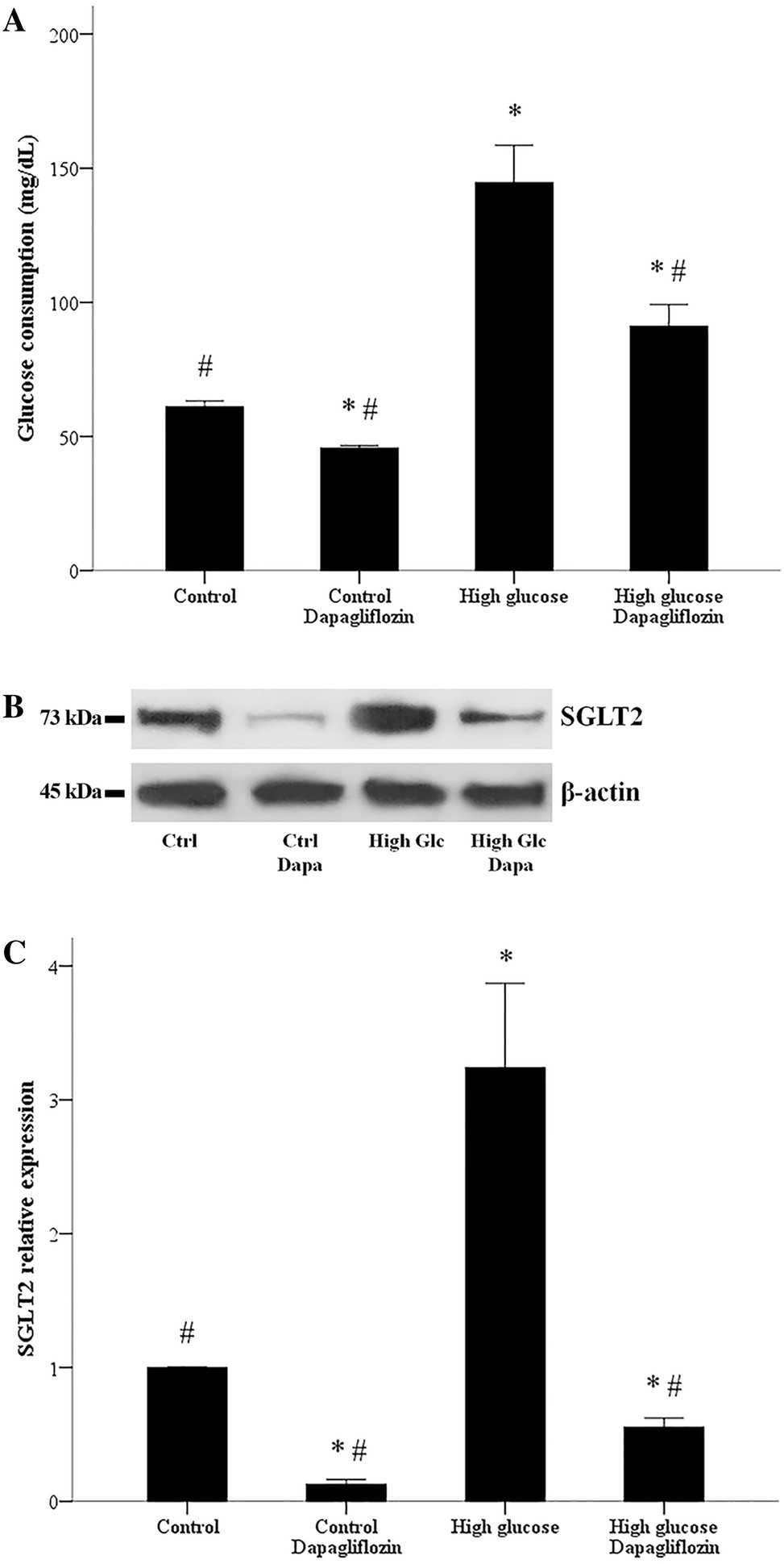 Influx of glucose and expression of SGLT2 in RPTECs, influenced by dapagliflozin. RPTECs exhibit increased glucose consumption under high glucose conditions compared to normal levels.