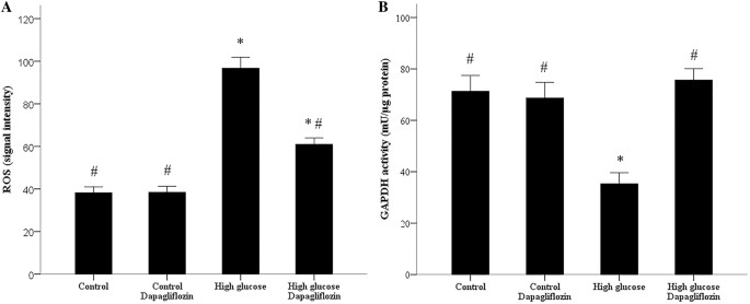 Production of ROS and GAPDH activity in RPTECs, modulated by dapagliflozin.