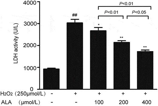 Influence of varying ALA concentrations on LDH activity in HUVECs subjected to H2O2-induced stress.