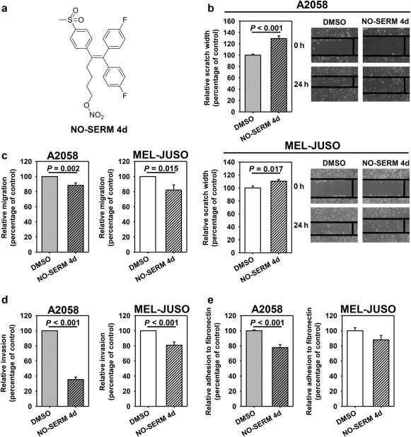 Effects of NO-SERM 4d (10 μM) on the pro-metastatic behavior of melanoma cell models.