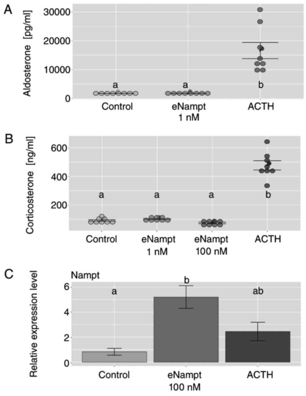 The effects of eNampt on aldosterone and corticosterone release in primary cultures of rat adrenocortical cells.