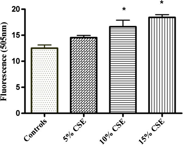 Impact of CSE on caspase 3 activity in fetal rat lung fibroblasts.