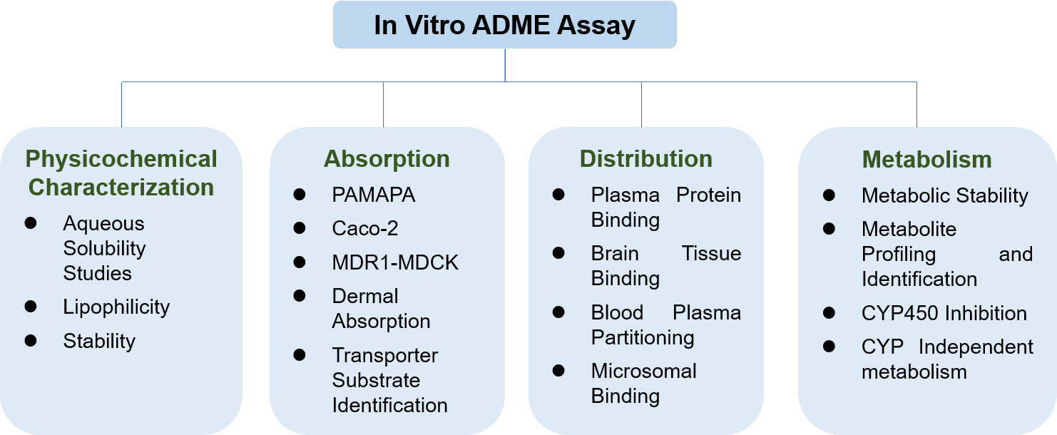 ADME and Pharmacokinetic (PK) Services