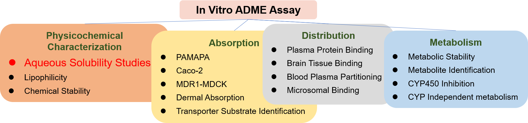 Aqueous Solubility Assays 